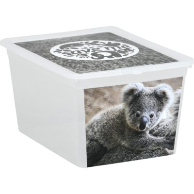 Behälter X-Box, 30 l - Koala