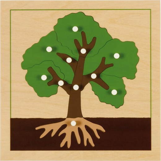 MONT457541 Montessori Botanisches Puzzle, Baum - MONT457541