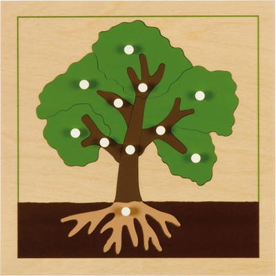 Montessori Botanisches Puzzle, Baum