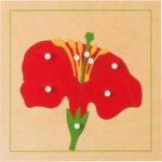 Montessori Botanisches Puzzle, Blüte - MONT457542 1