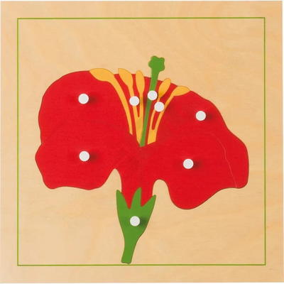 Montessori Botanisches Puzzle, Blüte