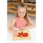 Montessori Botanisches Puzzle, Blüte - MONT457542