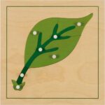 Montessori Botanisches Puzzle, Blatt - MONT457543 1