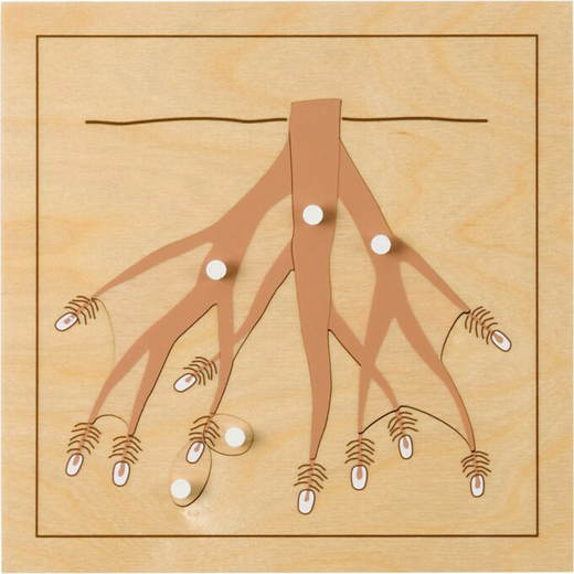 MONT457544 Montessori Botanisches Puzzle, Wurzel - MONT457544