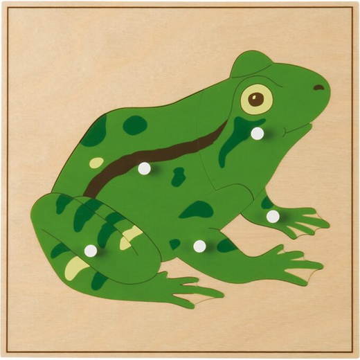 MONT457546 Montessori Tierpuzzle, Frosch - MONT457546