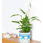 Motivpapier-Set – Sommer - motivpapier set sommer 300238 w.webp 3