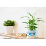 Motivpapier-Set – Sommer - motivpapier set sommer 300238 w.webp 4