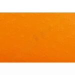 Prägekarton – Rosen - pragekarton rosen 300120 w.webp 2 2