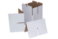 Papp-Cajon "Pappe-la-Papp" - Baff – Bild 2
