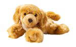 Empathietiere Brando – der Hund - 103663 1920x1920