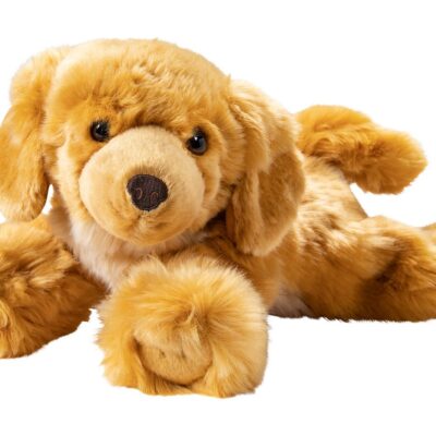 Empathietiere Brando - der Hund