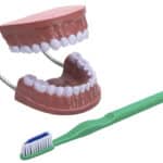 Körper & Gesundheit