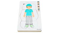 Lagenpuzzle „Anatomie"