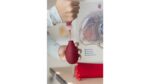 Herz-Kreislauf-Modell - 83696 g