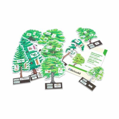 Bäume bestimmen leicht gemacht