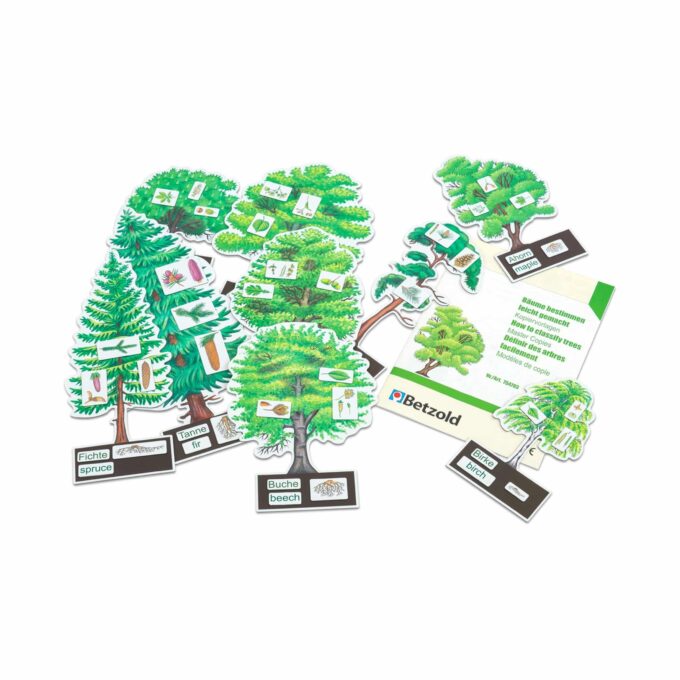 Betzold-Baeume-bestimmen-leicht-gemacht-E_754793_a-ZD