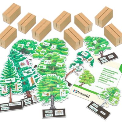 Bäume bestimmen leicht gemacht mit Holzaufstellern