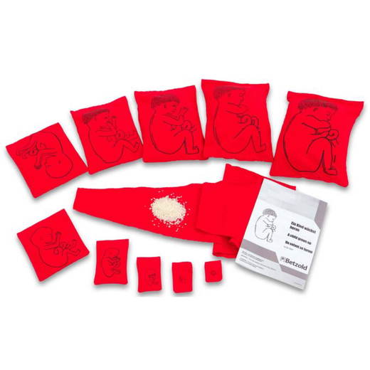 Betzold-Ein-Kind-waechst-heran-89847_a-ZN Ein Kind wächst heran - Betzold Ein Kind waechst heran 89847 a ZN