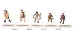 Evolution des Menschen - Betzold Evolution des Menschen E 767203 h ZD