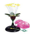 Kirschblüte - Betzold Kirschbluete 86177 2 ZN