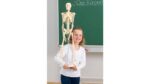Kleines Skelett - Betzold Kleines Skelett 86188 i ZD