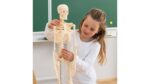 Kleines Skelett - Betzold Kleines Skelett 86188 j ZD