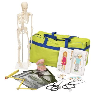 Körper-Lehrmaterial Set