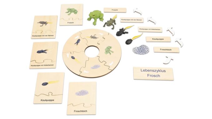 Betzold-Lebenszyklus-Frosch-E_767557_a-ZD