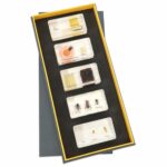 Lebenszyklus Honigbiene, Kunstglasblöcke - Betzold Lebenszyklus Honigbiene Kunstglasbloecke 82829 b ZN