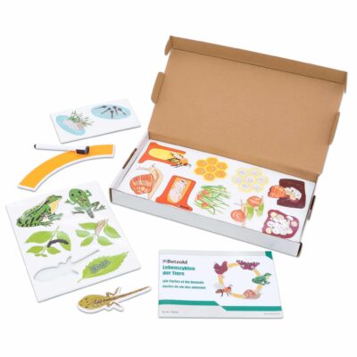 Lebenszyklus der Tiere, magnetisch