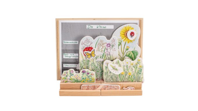 Betzold-Stockwerke-der-Wiese-E_764904_a-ZD