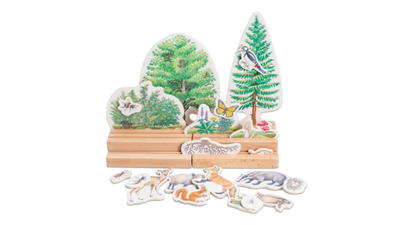 Stockwerke des Waldes