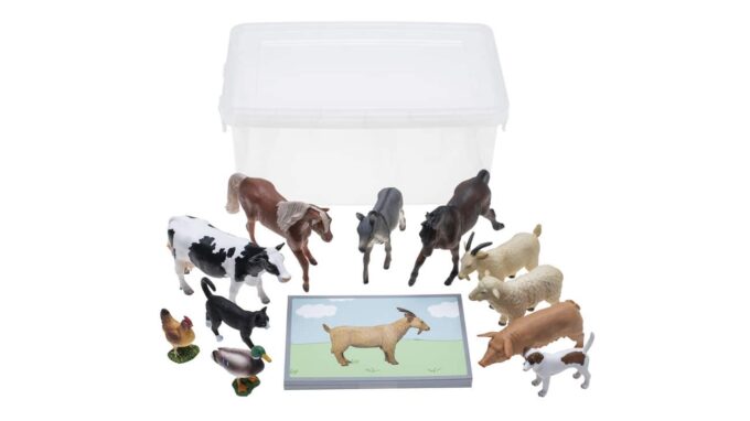 Betzold-Tiere-zuordnen-764297_b-ZD