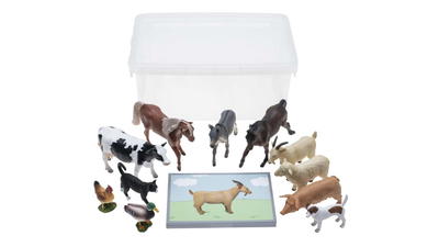 Tiere zuordnen
