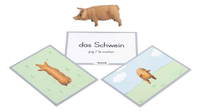 Tiere zuordnen – Bild 15