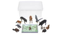 Tiere zuordnen – Bild 8