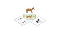 Tiere zuordnen – Bild 11