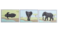 Tiere zuordnen – Bild 3