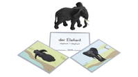 Tiere zuordnen – Bild 5