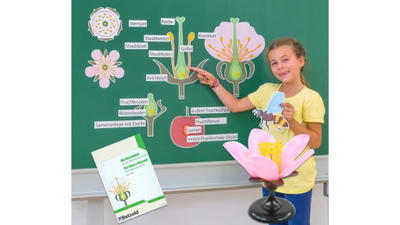 Von der Kirschblüte bis zur Frucht, Tafelmaterial