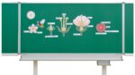 Von der Kirschblüte bis zur Frucht, Tafelmaterial - Betzold Von der Kirschbluete bis zur Frucht Tafelmaterial E 754792 h ZD