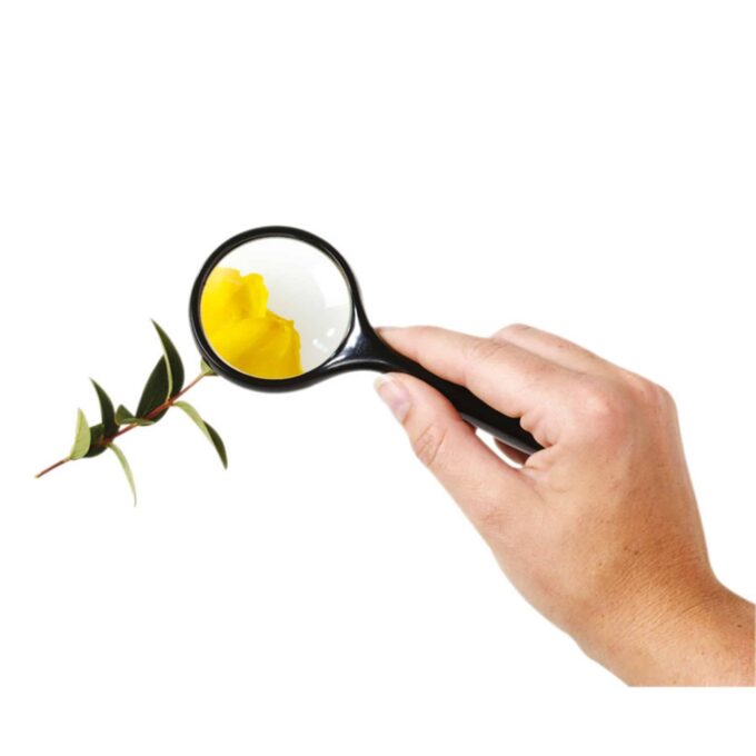 a hand holding a magnifying glass over a flower