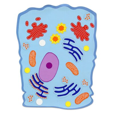 magnetische Tierzelle