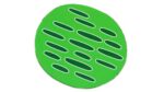 Magnetische pflanzliche Zelle - Betzold magnetische pflanzliche Zelle 89750 e ZD