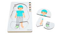 Lagenpuzzle „Anatomie" – Bild 4