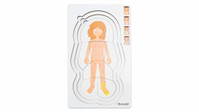 Lagenpuzzle „Anatomie" – Bild 7