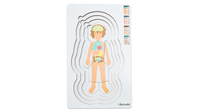 Lagenpuzzle „Anatomie" – Bild 8