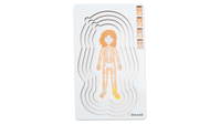 Lagenpuzzle „Anatomie" – Bild 9