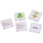 Willst du’s wissen? Bäume - 41247 k