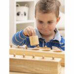 Montessori 4 Blöcke mit Einsatz-Zylindern - 85669 x